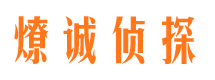 托克逊侦探